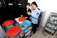 假期出行安全指南 安全咨询服务全方位解析